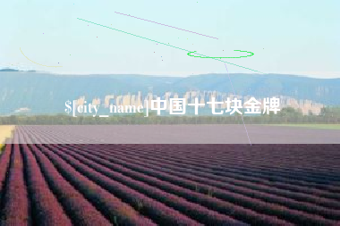乌鲁木齐中国十七块金牌