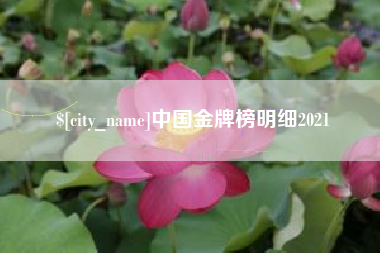 乌鲁木齐中国金牌榜明细2021