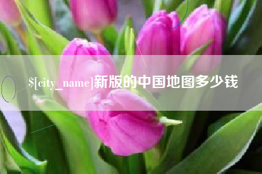 乌鲁木齐新版的中国地图多少钱