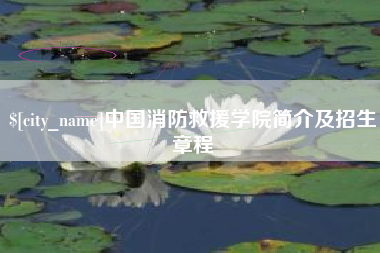 乌鲁木齐中国消防救援学院简介及招生章程