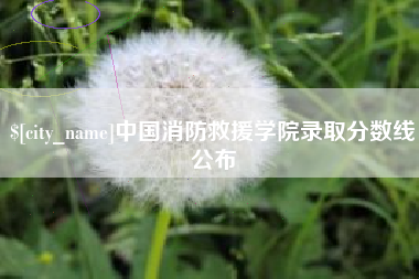 乌鲁木齐中国消防救援学院录取分数线公布