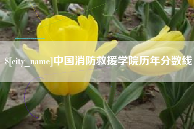 乌鲁木齐中国消防救援学院历年分数线