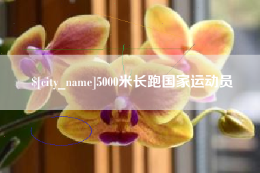 乌鲁木齐5000米长跑国家运动员
