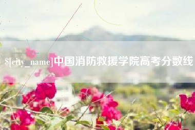 乌鲁木齐中国消防救援学院高考分数线
