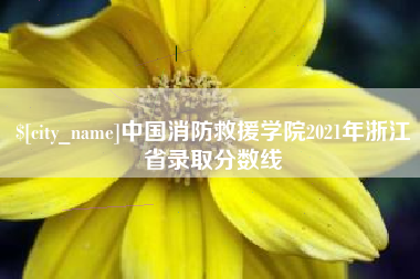 乌鲁木齐中国消防救援学院2021年浙江省录取分数线