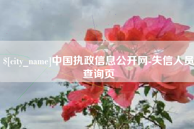乌鲁木齐中国执政信息公开网-失信人员查询页