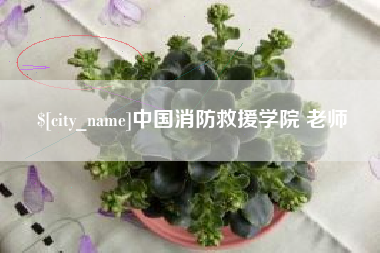 乌鲁木齐中国消防救援学院 老师