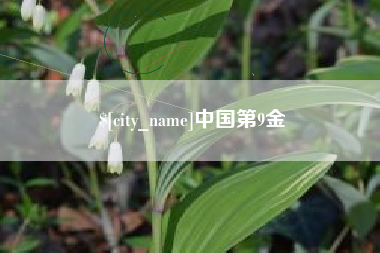 乌鲁木齐中国第9金