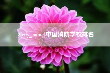 乌鲁木齐中国消防学校排名