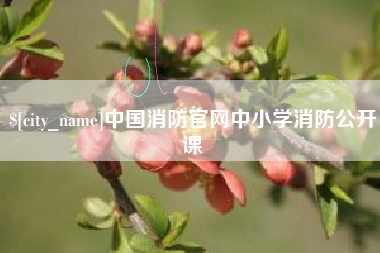 乌鲁木齐中国消防官网中小学消防公开课