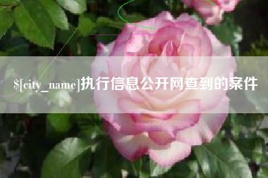 乌鲁木齐执行信息公开网查到的案件