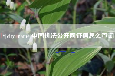 乌鲁木齐中国执法公开网征信怎么查询