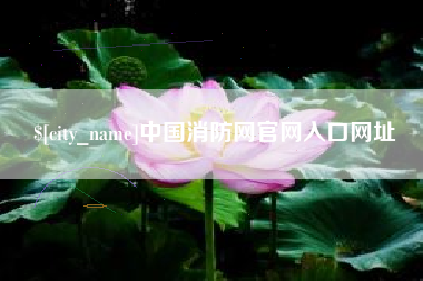 乌鲁木齐中国消防网官网入口网址