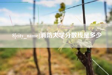 乌鲁木齐消防大学分数线是多少