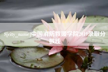 乌鲁木齐中国消防救援学院2019录取分数线