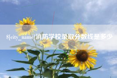 乌鲁木齐消防学校录取分数线是多少