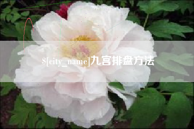 乌鲁木齐九宫排盘方法