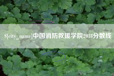 乌鲁木齐中国消防救援学院2018分数线