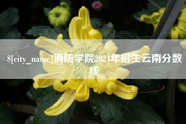 乌鲁木齐消防学院2024年招生云南分数线