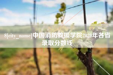 乌鲁木齐中国消防救援学院2020年各省录取分数线