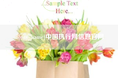乌鲁木齐中国执行网信息官网