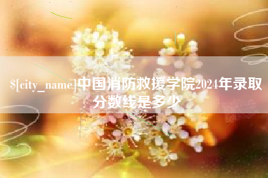 乌鲁木齐中国消防救援学院2024年录取分数线是多少