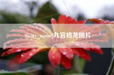 乌鲁木齐九宫格龙图片