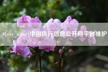 乌鲁木齐中国执行信息公开网平台维护