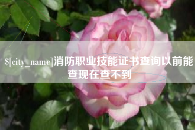 乌鲁木齐消防职业技能证书查询以前能查现在查不到