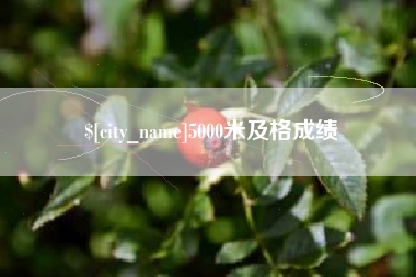 乌鲁木齐5000米及格成绩