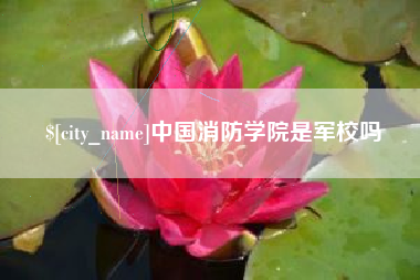 乌鲁木齐中国消防学院是军校吗