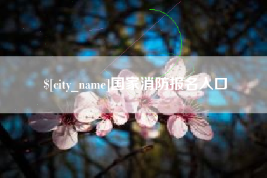 乌鲁木齐国家消防报名入口