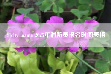 乌鲁木齐2025年消防员报名时间表格