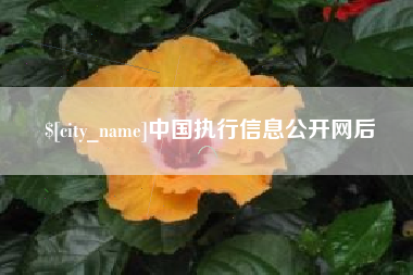 乌鲁木齐中国执行信息公开网后