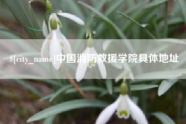 乌鲁木齐中国消防救援学院具体地址