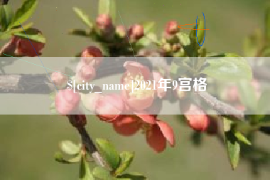 乌鲁木齐2021年9宫格