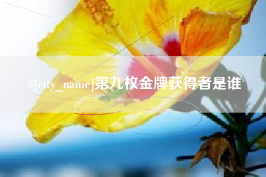 乌鲁木齐第九枚金牌获得者是谁
