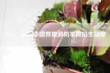 乌鲁木齐中国救援消防学院招生简章