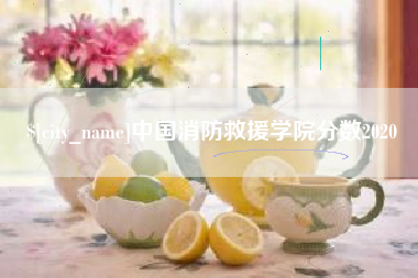 乌鲁木齐中国消防救援学院分数2020
