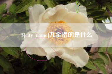 乌鲁木齐九金指的是什么