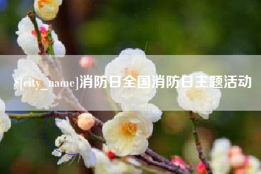 乌鲁木齐消防日全国消防日主题活动