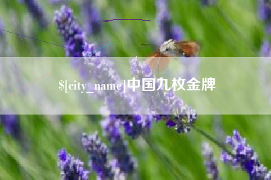 乌鲁木齐中国九枚金牌
