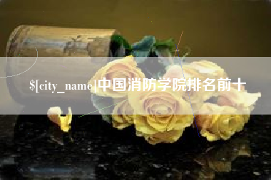 乌鲁木齐中国消防学院排名前十