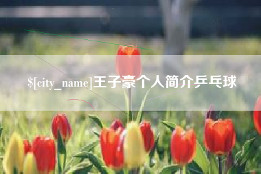 乌鲁木齐王子豪个人简介乒乓球