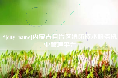 乌鲁木齐内蒙古自治区消防技术服务执业管理平台
