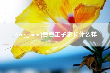 乌鲁木齐看看王子豪长什么样
