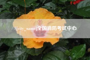 乌鲁木齐全国消防考试中心