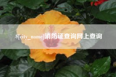 乌鲁木齐消防证查询网上查询