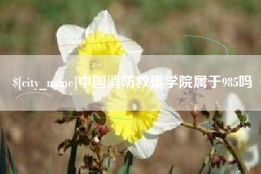 乌鲁木齐中国消防救援学院属于985吗