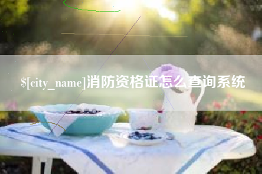 乌鲁木齐消防资格证怎么查询系统